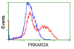 PRKAR2A Antibody in Flow Cytometry (Flow)