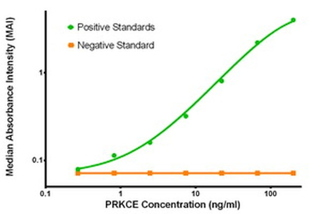 PRKCE Antibody in ELISA (ELISA)