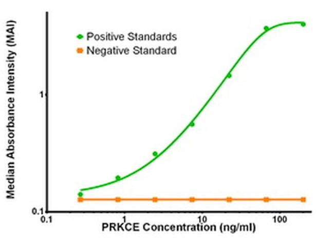 PRKCE Antibody in ELISA (ELISA)