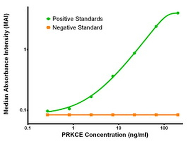 PRKCE Antibody in ELISA (ELISA)