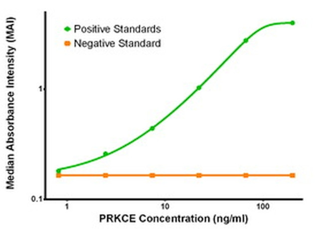 PRKCE Antibody in ELISA (ELISA)