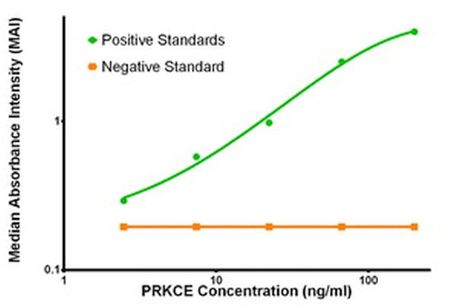 PRKCE Antibody in ELISA (ELISA)