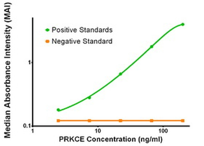 PRKCE Antibody in ELISA (ELISA)