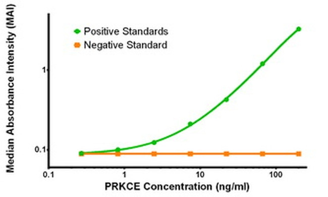 PRKCE Antibody in ELISA (ELISA)