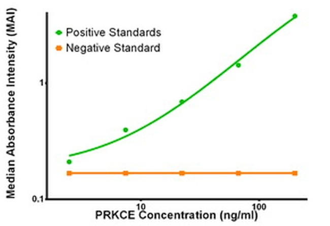 PRKCE Antibody in ELISA (ELISA)