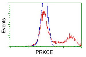 PRKCE Antibody in Flow Cytometry (Flow)