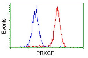 PRKCE Antibody in Flow Cytometry (Flow)