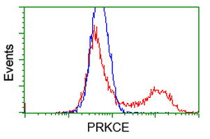 PRKCE Antibody in Flow Cytometry (Flow)