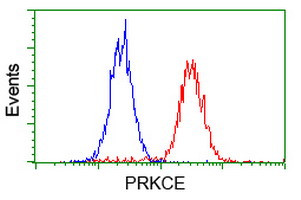 PRKCE Antibody in Flow Cytometry (Flow)