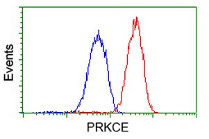 PRKCE Antibody in Flow Cytometry (Flow)