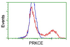 PRKCE Antibody in Flow Cytometry (Flow)