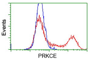 PRKCE Antibody in Flow Cytometry (Flow)