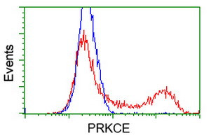PRKCE Antibody in Flow Cytometry (Flow)