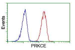 PRKCE Antibody in Flow Cytometry (Flow)