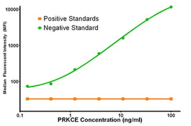 PRKCE Antibody in Luminex (LUM)