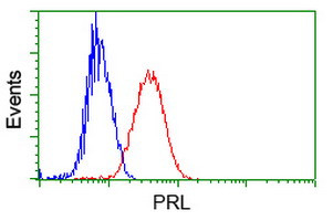 PRL Antibody in Flow Cytometry (Flow)