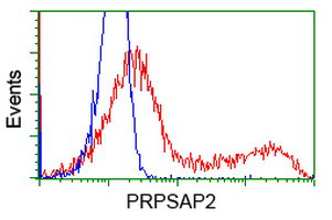 PRPSAP2 Antibody in Flow Cytometry (Flow)