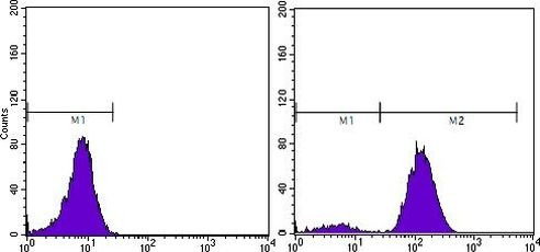 PSA Antibody in Flow Cytometry (Flow)