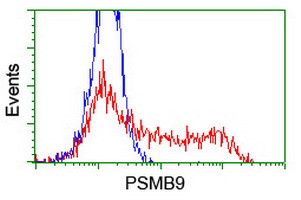 PSMB9 Antibody in Flow Cytometry (Flow)