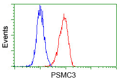 PSMC3 Antibody in Flow Cytometry (Flow)