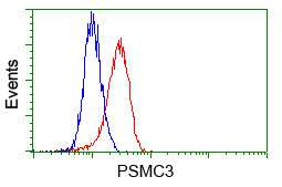 PSMC3 Antibody in Flow Cytometry (Flow)