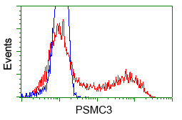 PSMC3 Antibody in Flow Cytometry (Flow)