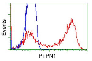 PTPN1 Antibody in Flow Cytometry (Flow)