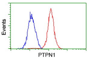 PTPN1 Antibody in Flow Cytometry (Flow)