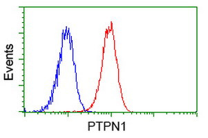 PTPN1 Antibody in Flow Cytometry (Flow)