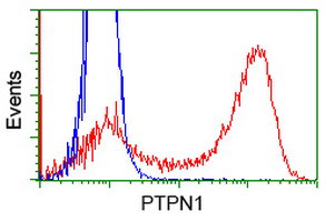 PTPN1 Antibody in Flow Cytometry (Flow)