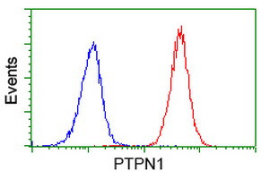 PTPN1 Antibody in Flow Cytometry (Flow)