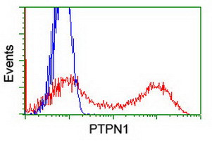 PTPN1 Antibody in Flow Cytometry (Flow)