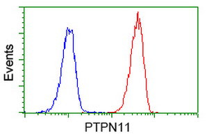 PTPN11 Antibody in Flow Cytometry (Flow)