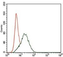 SHP2 Antibody in Flow Cytometry (Flow)