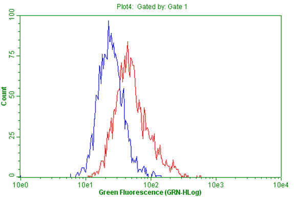 PTPRE Antibody in Flow Cytometry (Flow)