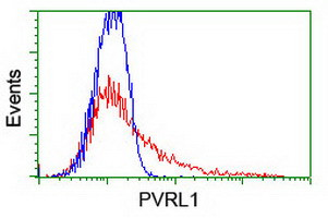 PVRL1 Antibody in Flow Cytometry (Flow)