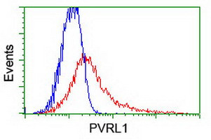 PVRL1 Antibody in Flow Cytometry (Flow)