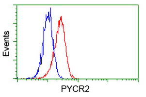 PYCR2 Antibody in Flow Cytometry (Flow)