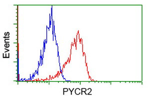 PYCR2 Antibody in Flow Cytometry (Flow)