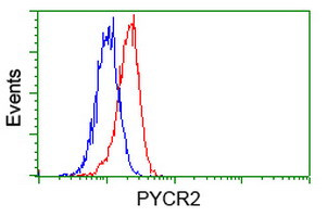 PYCR2 Antibody in Flow Cytometry (Flow)