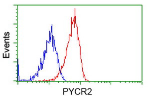 PYCR2 Antibody in Flow Cytometry (Flow)