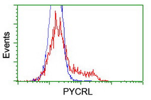 PYCRL Antibody in Flow Cytometry (Flow)