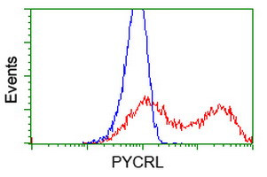 PYCRL Antibody in Flow Cytometry (Flow)