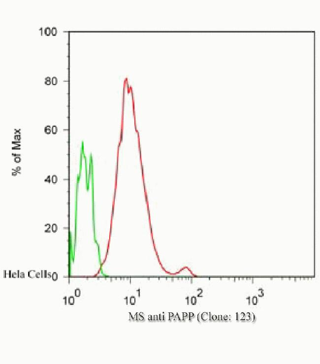 PARP1 Antibody in Flow Cytometry (Flow)