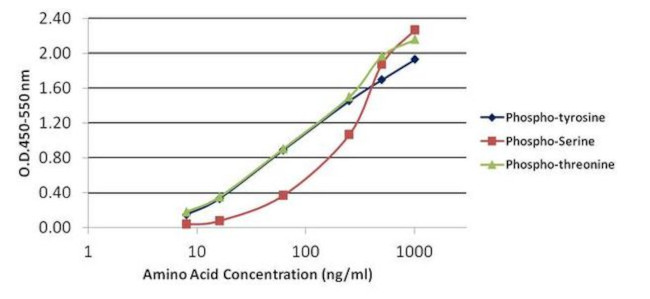 Phosphoserine/threonine/tyrosine Antibody in ELISA (ELISA)