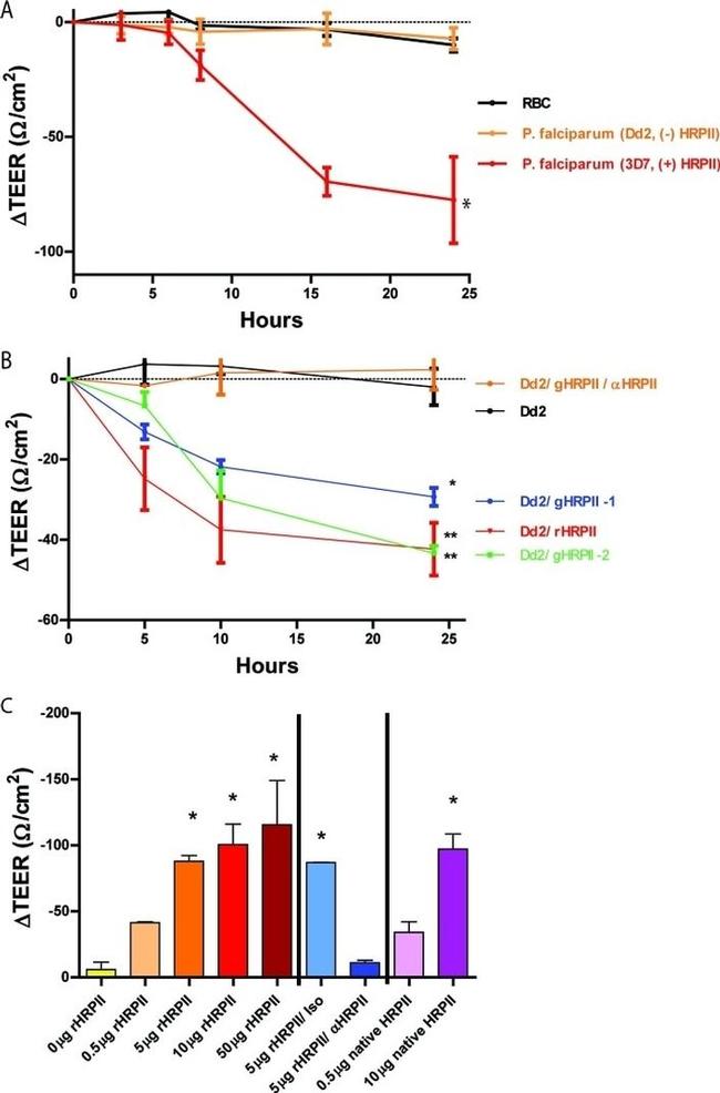 Plasmodium falciparum Antibody in Neutralization (Neu)