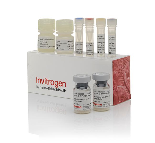 Mouse IL-22 ProQuantum Immunoassay Kit (A47434)