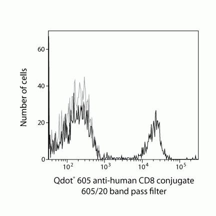 CD8 Antibody in Flow Cytometry (Flow)