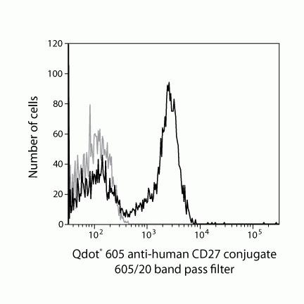 CD27 Antibody in Flow Cytometry (Flow)