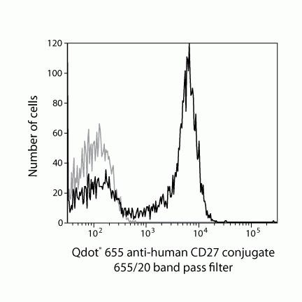 CD27 Antibody in Flow Cytometry (Flow)